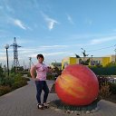 ���� ��������� ������������, ������ - ��������� 25 ������� 2020 � ������ ���� ����������