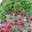 ���������� ������� �����!