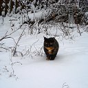 ���� �����, �����, 59 ��� - ��������� 15 ����� 2021 � ������ ���� ����������