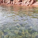  Vladimir, , 74  -  24  2020