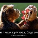 ���� �� ���, �����-��������� - ��������� 15 ������� 2021 � ������ ����������