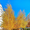 ���� �����, ��������, 67 ��� - ��������� 10 �������� 2020 � ������ �����-����