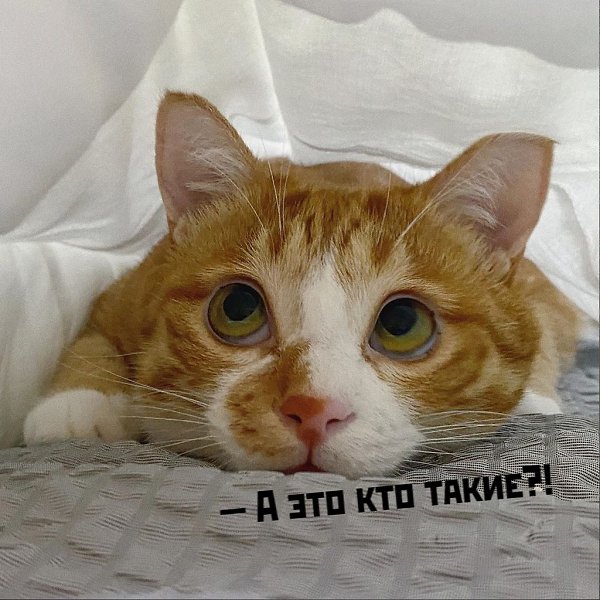       - 19  2020  18:42 - 3