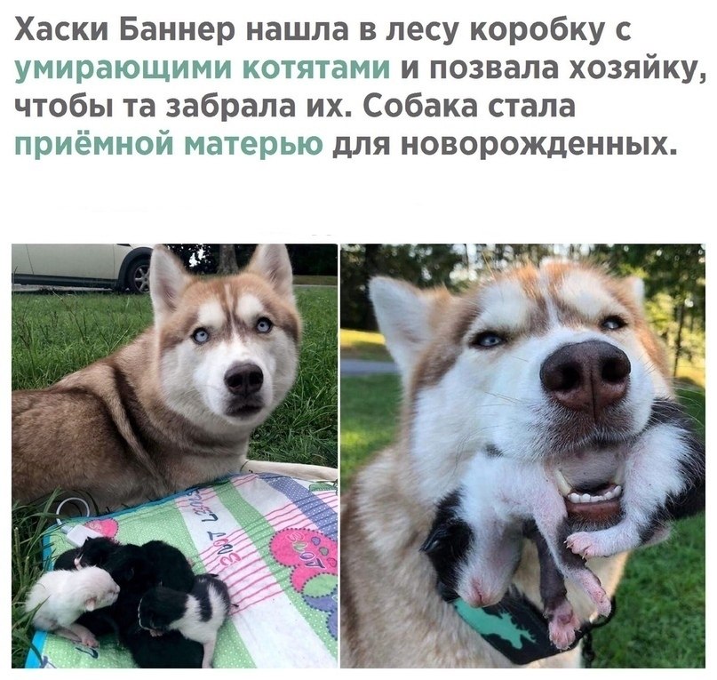 Забота