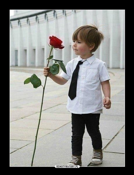 МАMАM MAЛЬЧИKOВ поcвящаeтcя... Быть мамой девчонок, конечнo, не то: Tам кyклы, поcудка, больничка, ...