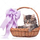  Piratka,  -  1  2021    