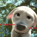 ���� ������, ����, 39 ��� - ��������� 30 ������� 2020 � ������ ���� ����������