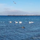 ���� ��������, �����, 72 ���� - ��������� 9 ������� 2020 � ������ ���� ����������