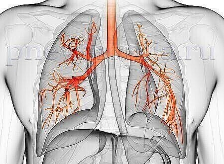 -   !         .     ...