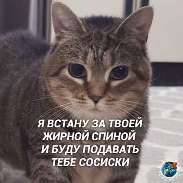 o o  ec aca o. anim aea - 4