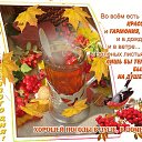 ���� �������, ������ - ��������� 1 �������� 2020 � ������ ������ ��������
