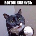 ���� �������, ������, 75 ��� - ��������� 16 ������ 2020 � ������ ���� ����������