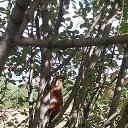 ���� �������, �����, 46 ��� - ��������� 10 �������� 2020 � ������ ���� ����������