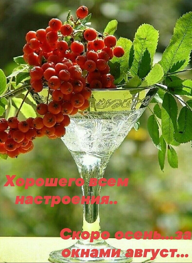   ,    . - 26  2020  09:54