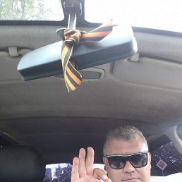 , 53 , 