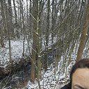 ���� ������, ���������, 51 ��� - ��������� 17 ������ 2021 � ������ ���� ����������