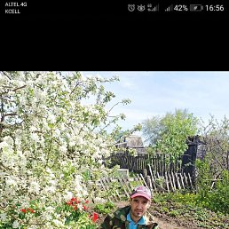 ������, ���������, 47 ���