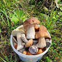 ��������! �� ������� ������ ��������