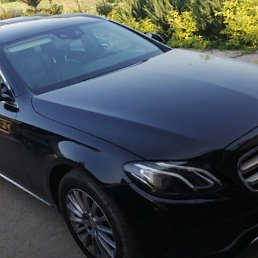 ���������, �����