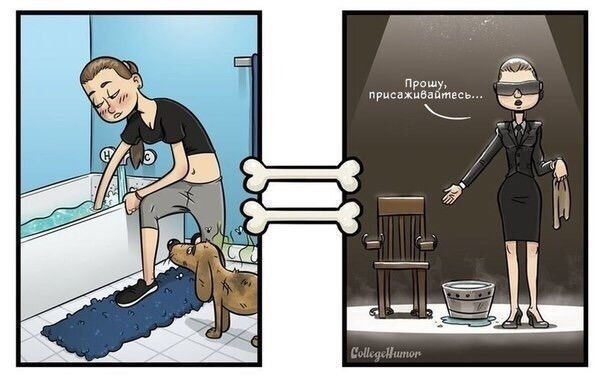 Mp aa co.oa caopa - 3