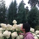 ���� ������, ������������ - ��������� 29 ������� 2020 � ������ ���� ����������