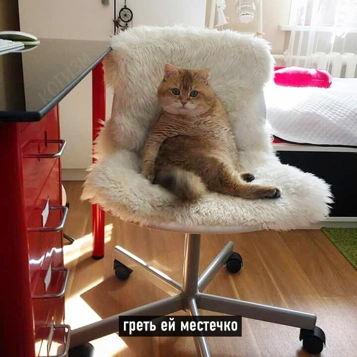  - ... - 2