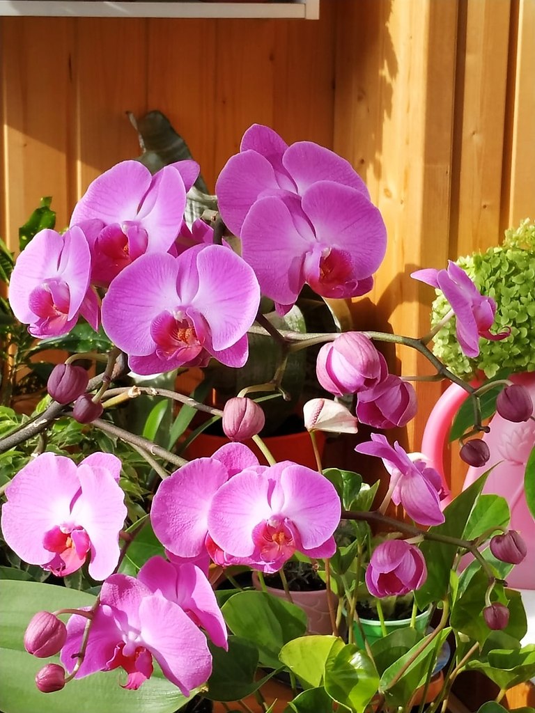   ,    . - 5  2020  14:31 - 3