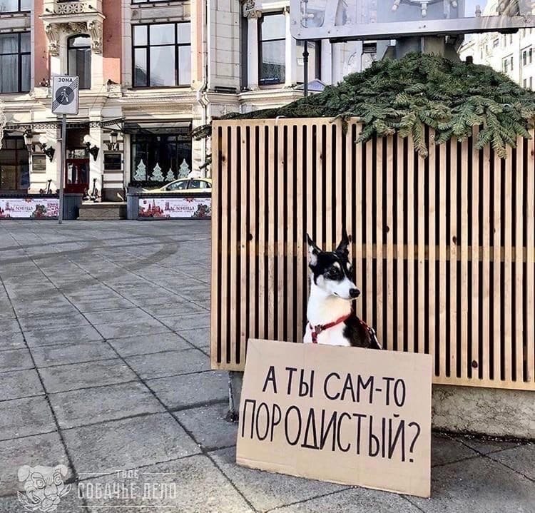 ������ ��������!