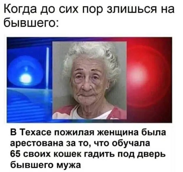 ������ - 26 �������� 2020 � 19:40