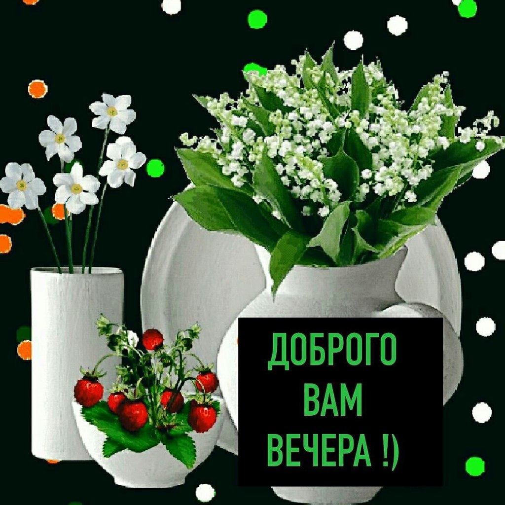   ,    . - 22  2021  18:36 - 3