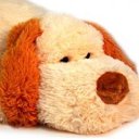 ���� ����, �����������, 50 ��� - ��������� 6 ������� 2020 � ������ ���� ����������