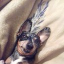 ���� ������, ������ - ��������� 18 ������ 2021 � ������ ���� ����������