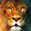 ���� ������, ���������, 46 ��� - ��������� 17 ������ 2020