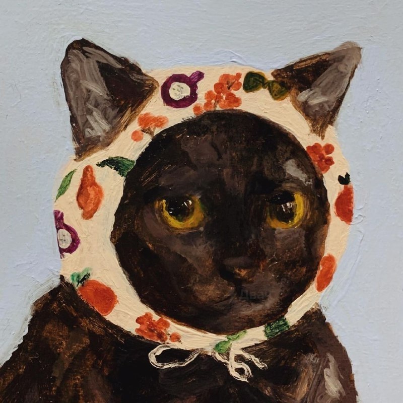 The �����cats �� ��������� Schuchtern Selynn - 6