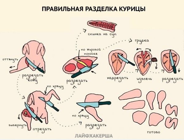 Это хозяйке пригодится. Полезная информация. Берем на заметку