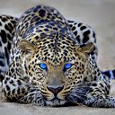 ���� ������, ������ - ��������� 4 ������� 2020 � ������ ���� ����������
