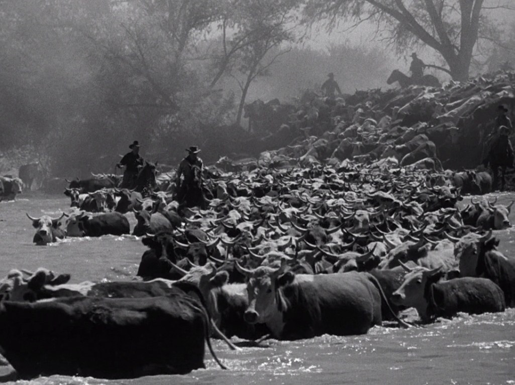   / Red River (1948).:  ,       ... - 4