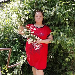 �����, �������, 48 ���