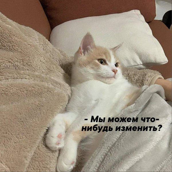       - 20  2021  16:07