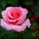 ���� �������, ������ ����� - ��������� 8 ������� 2021 � ������ ���� ����������