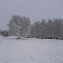 ���� ��������, ���� - ��������� 5 ������� 2020 � ������ ���� ����������