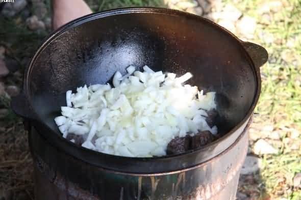 Лагман на костре.Лагман готовится из мяса (преимущественно баранины или говядины), овощей и тянутой ... - 4