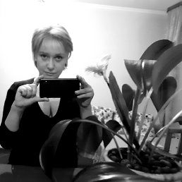 �������, ������, 51 ���