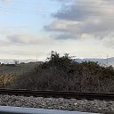 ���� ���������, ��������, 42 ���� - ��������� 28 ������ 2020 � ������ ������ ��������