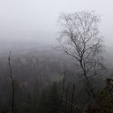 ���� �����, ��������, 53 ���� - ��������� 12 ������� 2020 � ������ �Verbrannte Felsen�