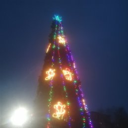 Natali, ������ ��������