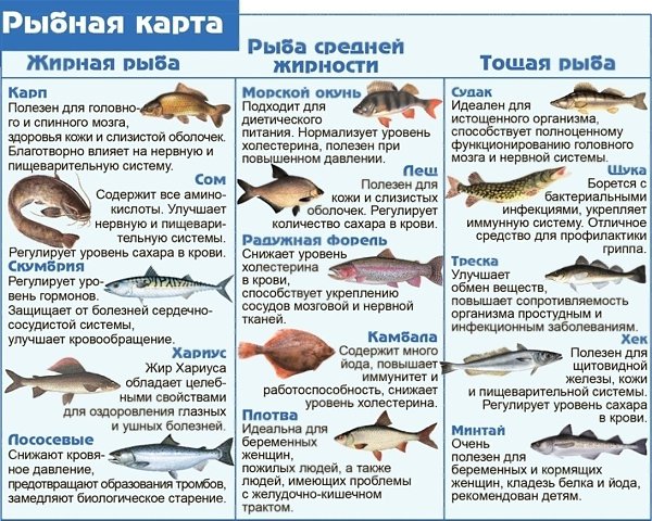 Радужная форель -это вкусно! Как часто вы едите рыбку?