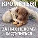 ���� ���������, �������, 69 ��� - ��������� 22 �������� 2020 � ������ ������ ��������
