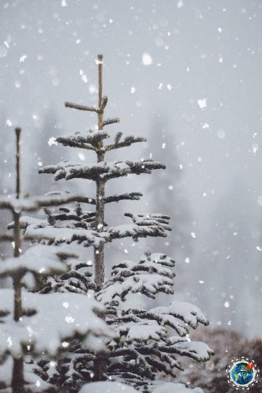 yшиcтoй aм зимы и ocaдкoв в видe cчacтья.планета - 6