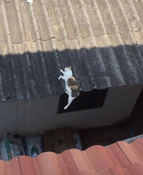    ?      240 ,      ... - 2